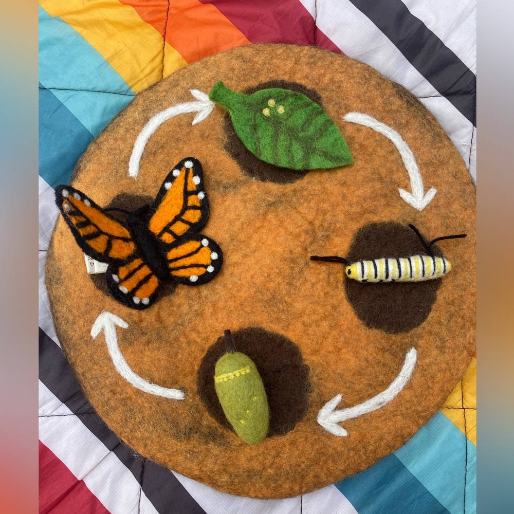 Tara’s Treasures Lifecycle of a Butterfly Felted Set 🦋